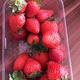 Edeka Erdbeeren