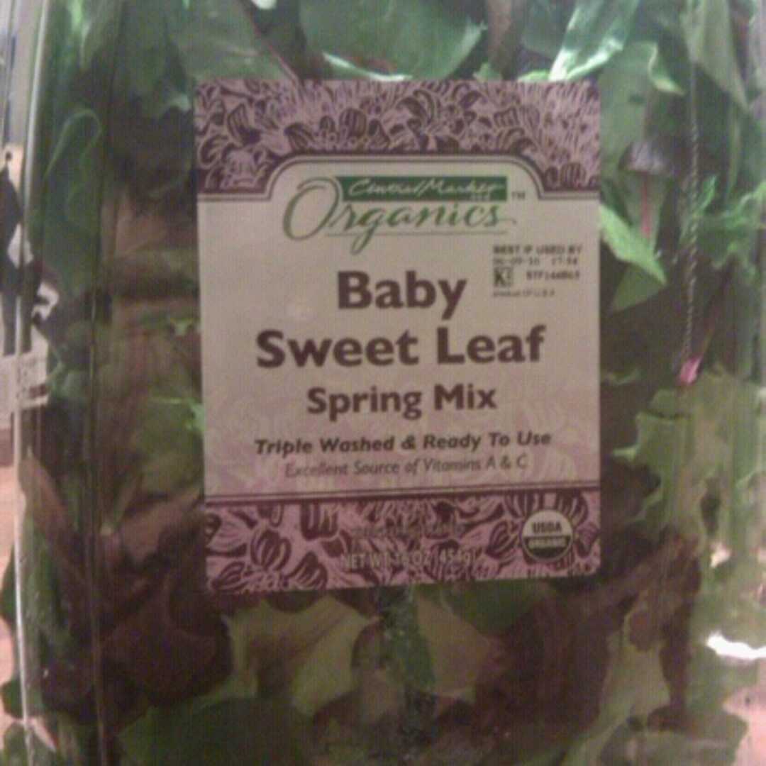 Central Market Baby Sweet Leaf Spring Mix