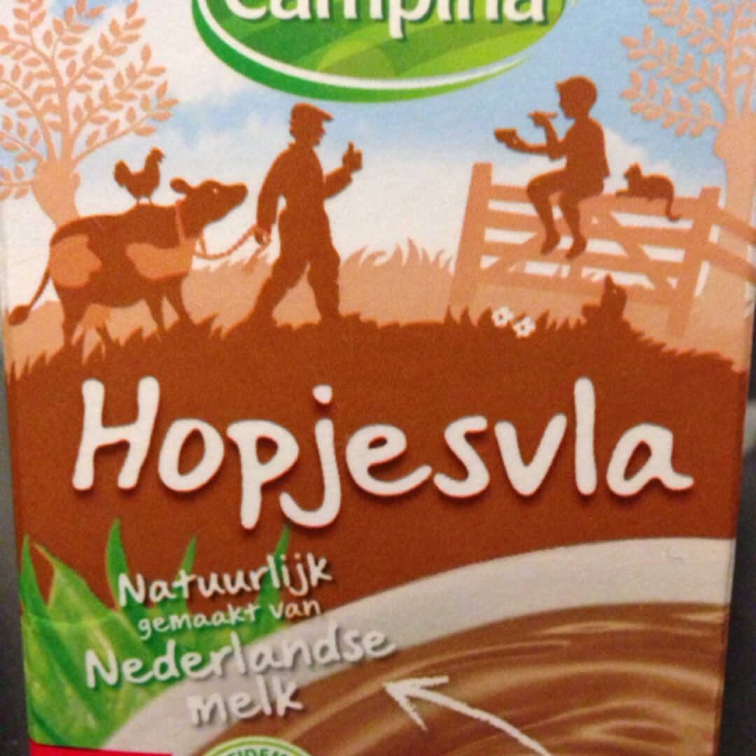 Campina Hopjesvla