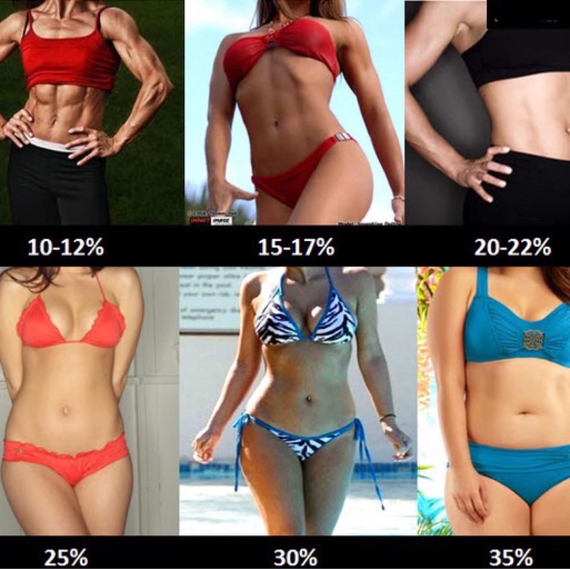 Вес мышц в теле человека. Процент жира. Жир у женщин. Процент жира у девушек. Процент жира в теле девушки.
