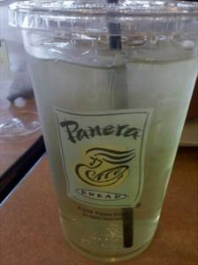 Panera Bread Iced Green Tea (Largo)