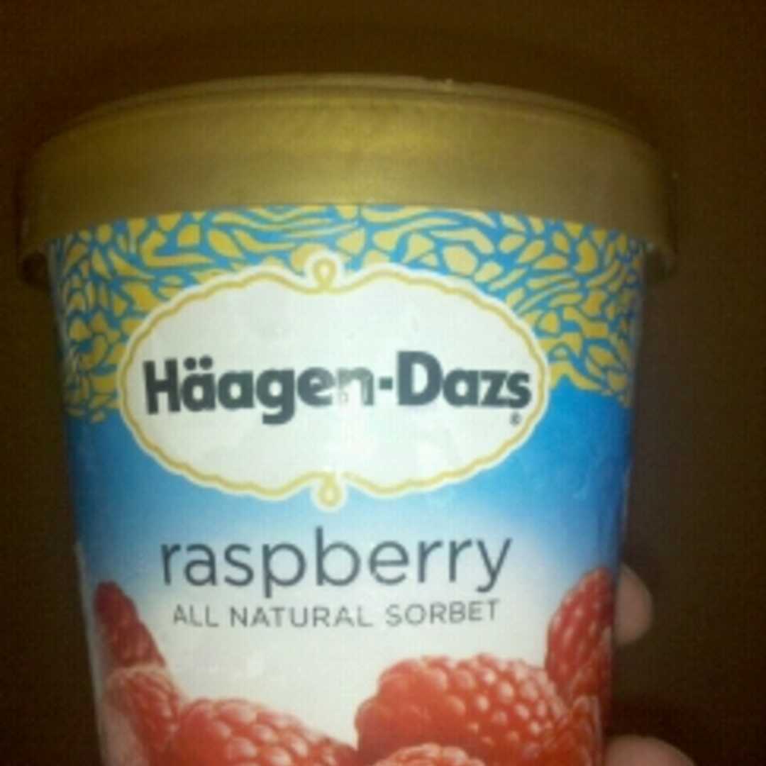 Haagen-Dazs Fat Free Raspberry Sorbet