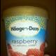 Haagen-Dazs Fat Free Raspberry Sorbet