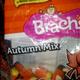 Brach's Autumn Mix Candy