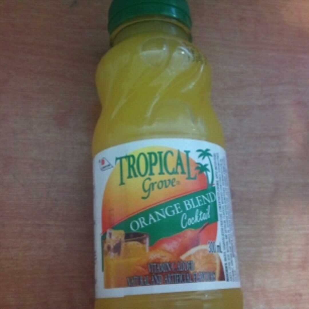 Tropical Grove Orange Blend Cocktail