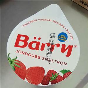 Bärry Yoghurt