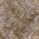 Quick or Instant Oatmeal