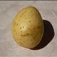 Batatas (sem Casca, com Sal, Fervido)