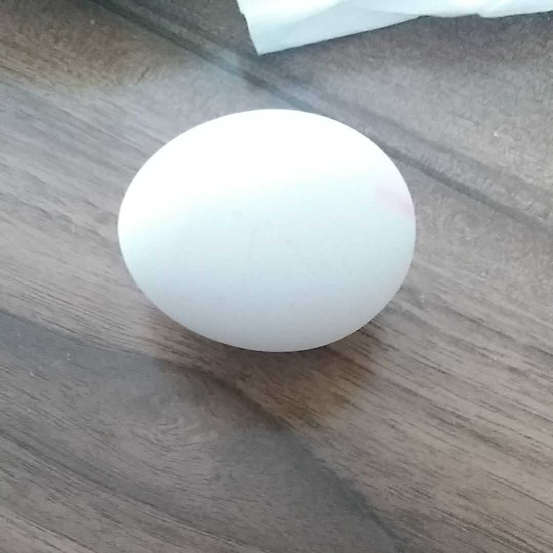 Yumurta (Bütün)