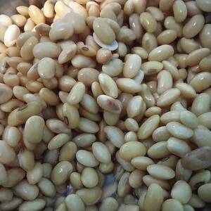 Soybeans (Mature Seeds)