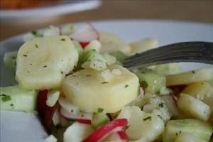Leichter Kartoffel-Radieschen-Gurke-Salat