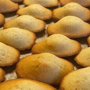 Madeleines