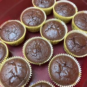 Dark Chocolate Raspberry Protein Muffins