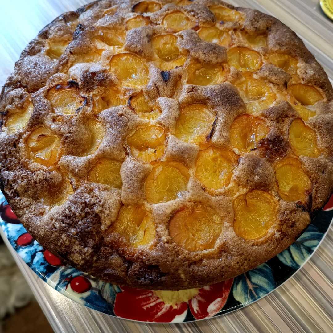 Пирог с абрикосами: рецепт приготовления с фото