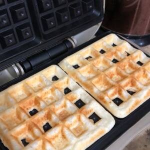 Waffles de Parmesão