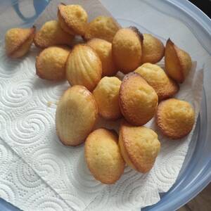 Madeleines Citron