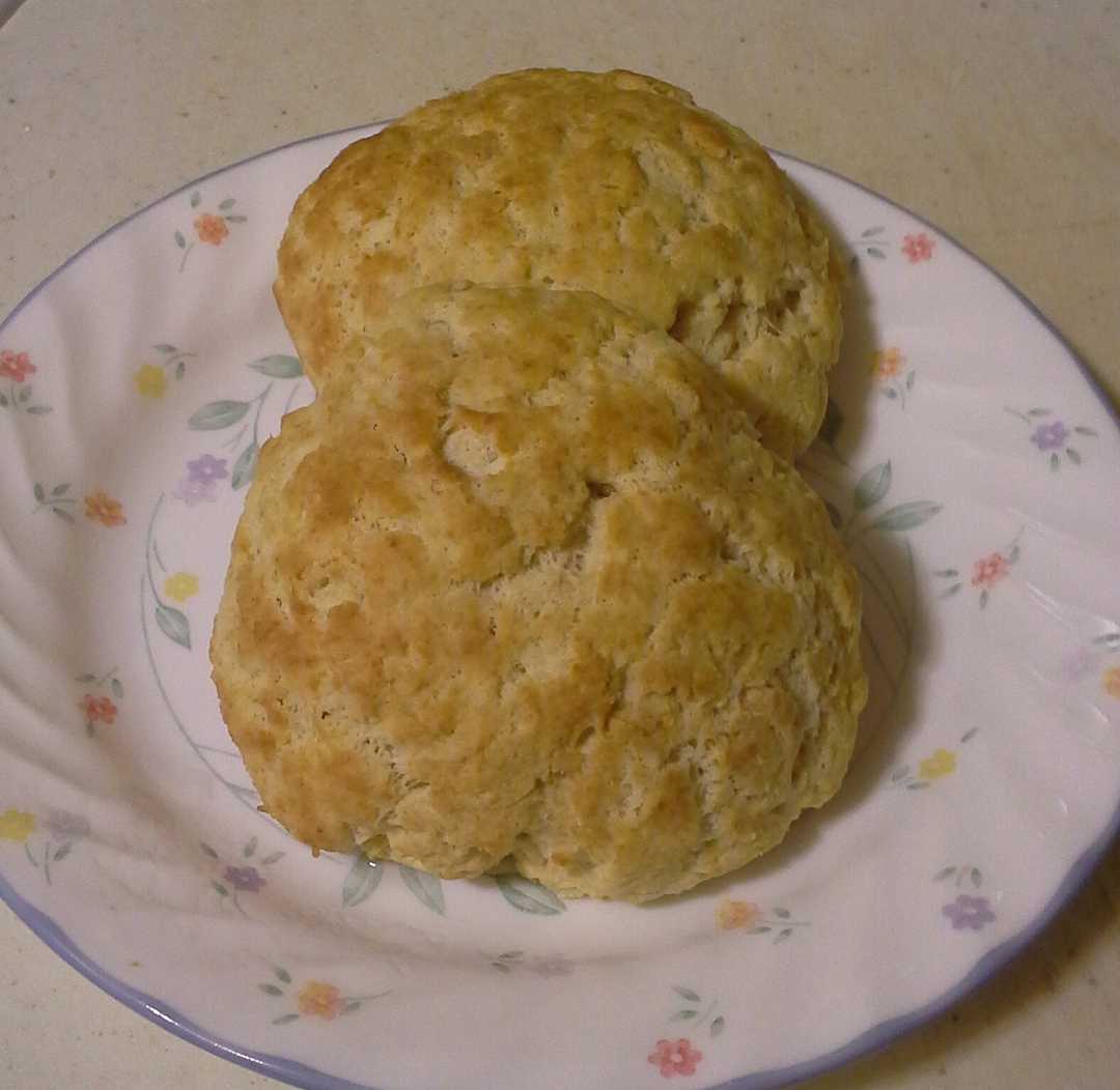 Carbquik Biscuits