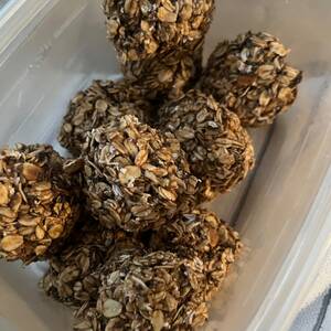 Protein Balls