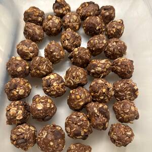 Chocolate Chip Protein Balls