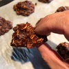 Chocolate Protein Oatmeal Cookies