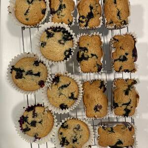 Blueberry Oat Bran Muffins